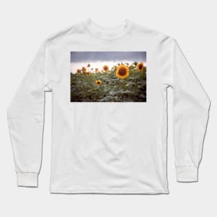 Sunflowers Long Sleeve T-Shirt